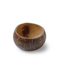Coconut Bowl Polished
